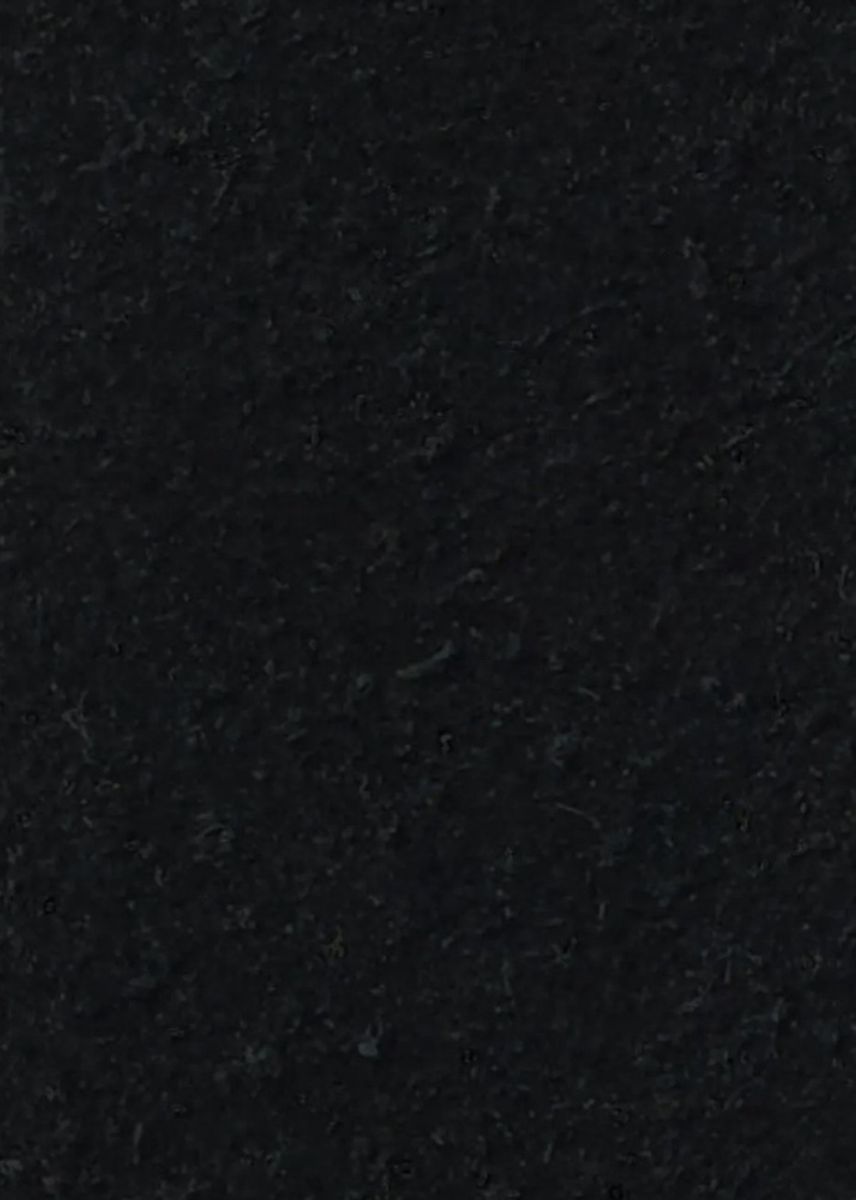 Selected Sebastian Semsket Belte Black 