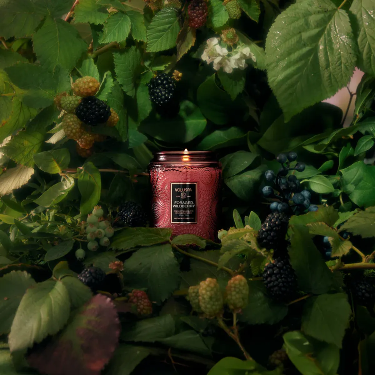 Voluspa Duftlys Foraged Wildberry Large Jar Candle 100T